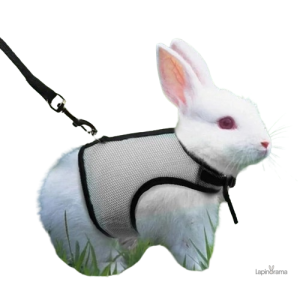 Veste sans manche en lapin pour un style élégant