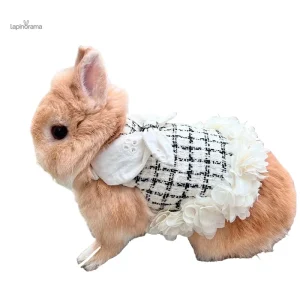 Vêtement pour lapin nain confortable et stylé