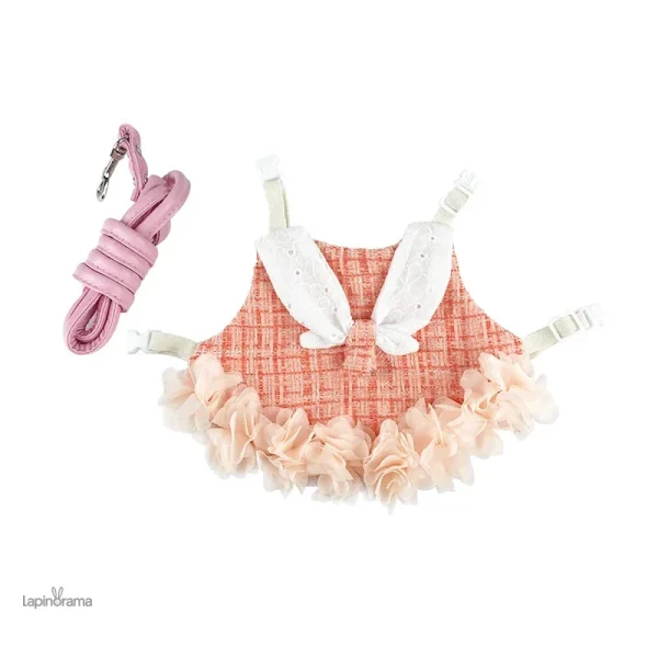Tenue amusante et pratique pour lapins nains
